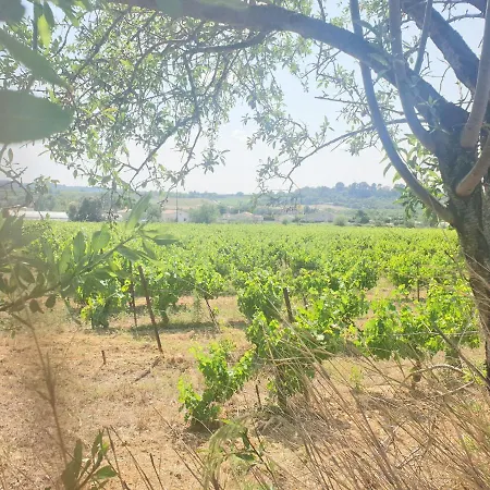 La Michele, Domaine Sur Les Hauteurs De Ferienhaus