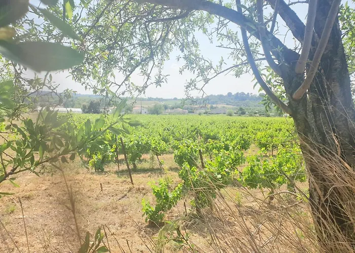 La Michele, Domaine Sur Les Hauteurs De Дом отдыха